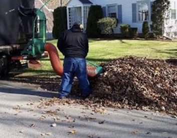 leaf removal