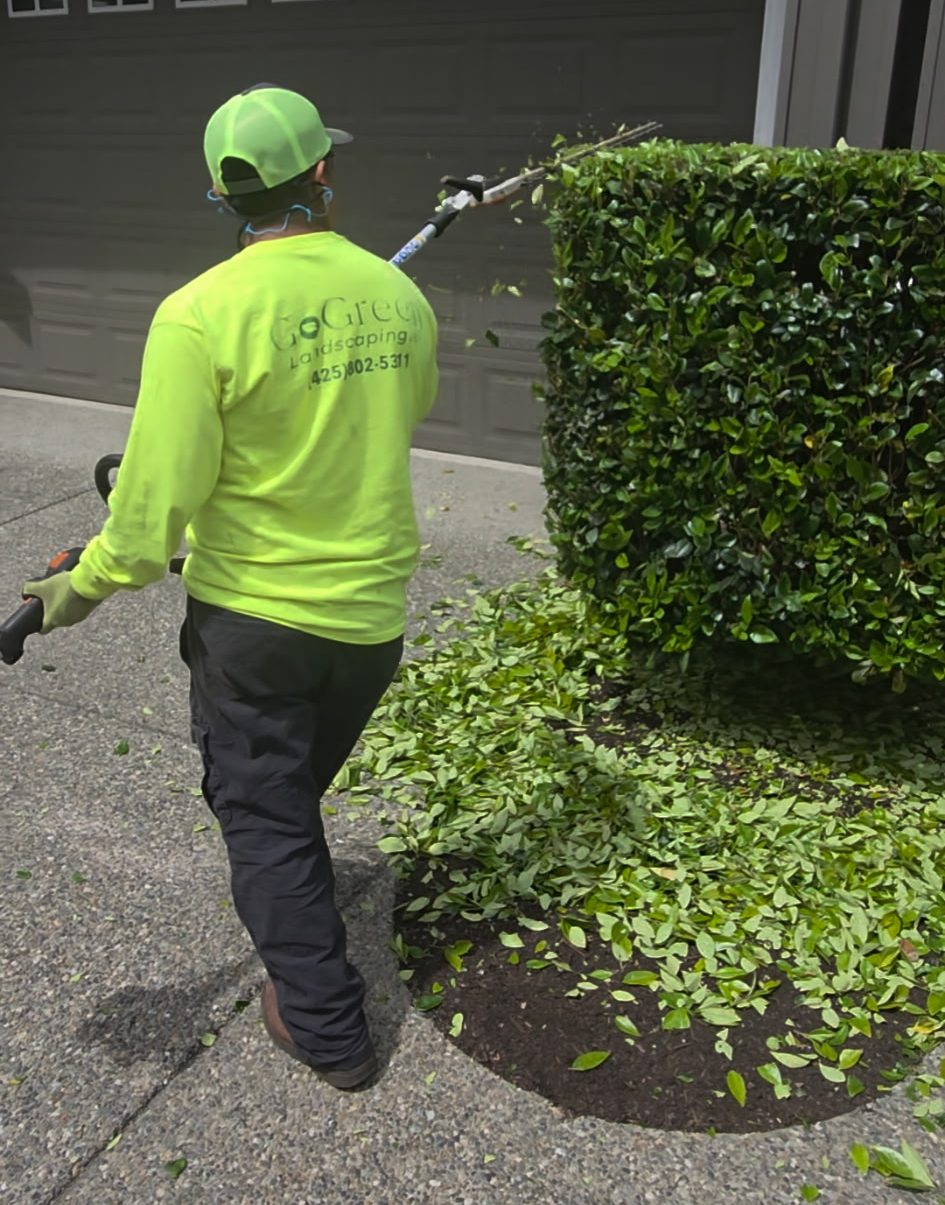 775329049-7419534802286245464