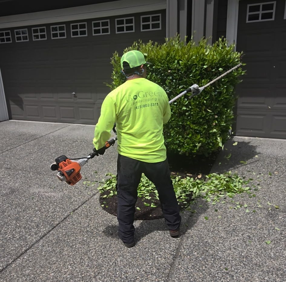 775329050-2450120950209835917