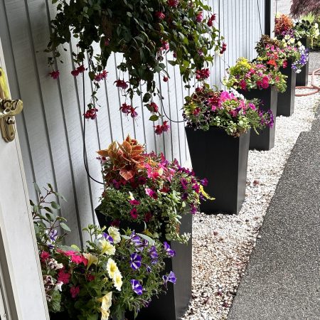 70837875726__A33ABD5E-5A6D-4DEC-BB43-04CDE40308A9