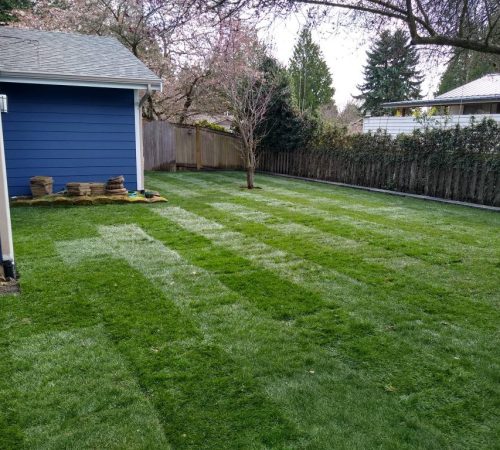 740414121-img_20230330_155717785_hdr