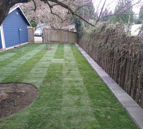 740414126-img_20230331_091757403