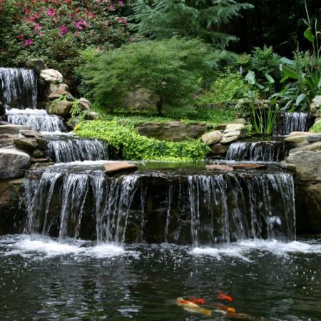 89f7a16e40ad1c4a437ec89e614858f1