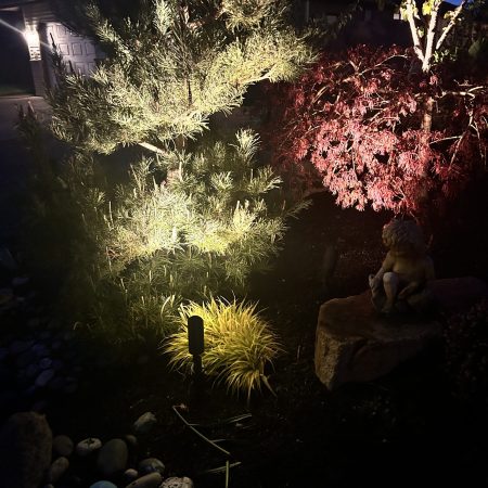 Landscaping lights 1