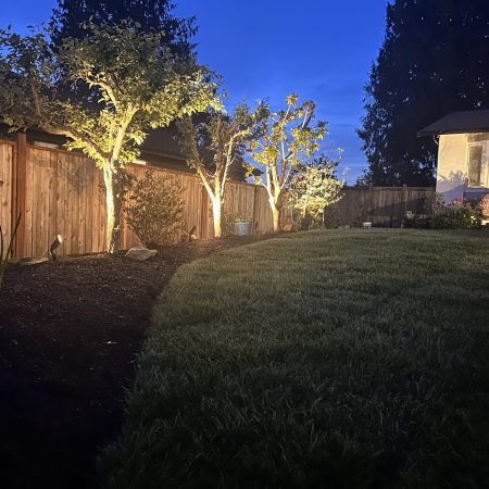 Landscaping lightsss