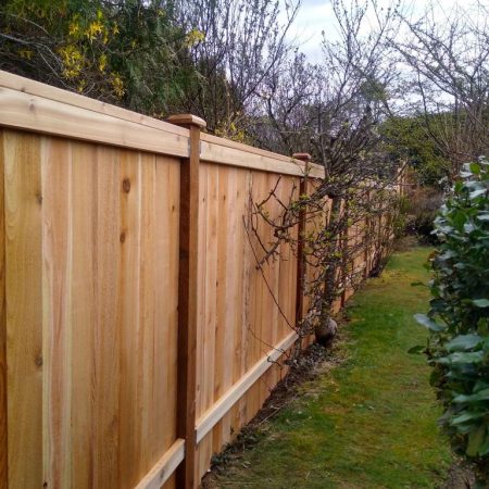 full panel fence