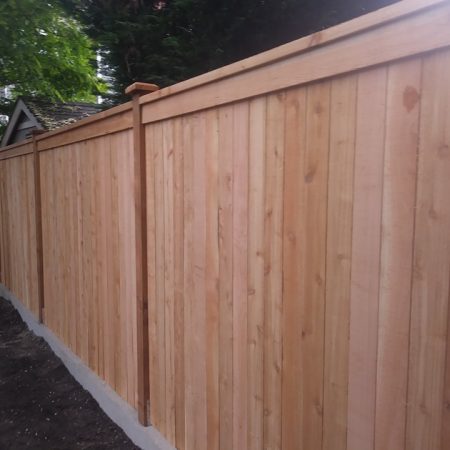 new full panel fence after