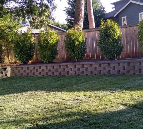 retaining wall new sod